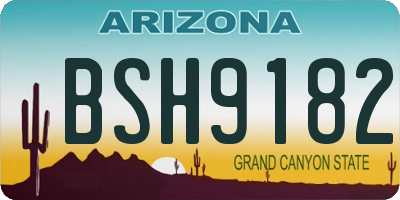 AZ license plate BSH9182