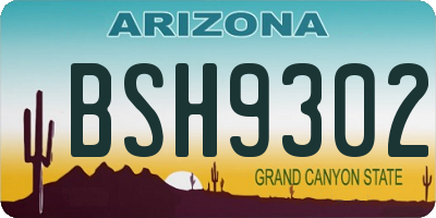AZ license plate BSH9302