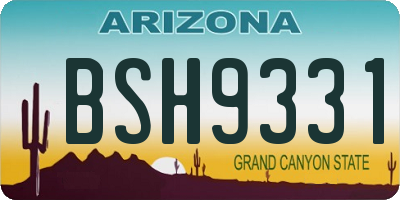 AZ license plate BSH9331