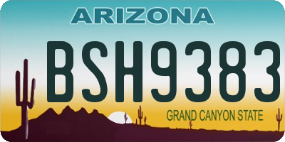AZ license plate BSH9383