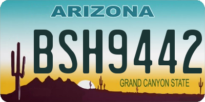 AZ license plate BSH9442