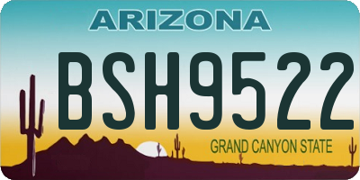 AZ license plate BSH9522