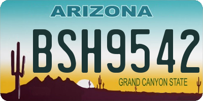 AZ license plate BSH9542