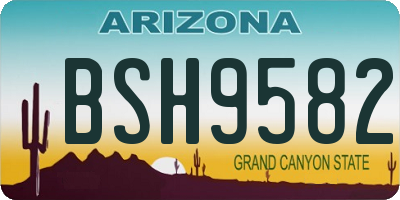 AZ license plate BSH9582