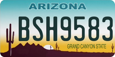 AZ license plate BSH9583
