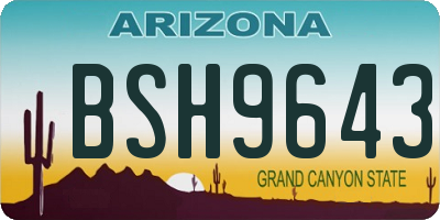 AZ license plate BSH9643