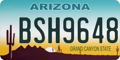 AZ license plate BSH9648