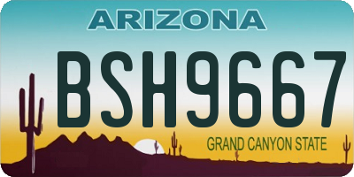 AZ license plate BSH9667