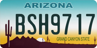 AZ license plate BSH9717
