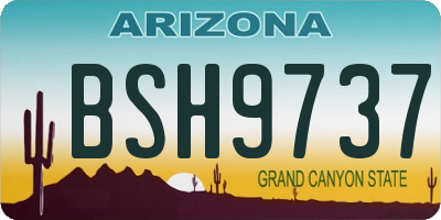 AZ license plate BSH9737