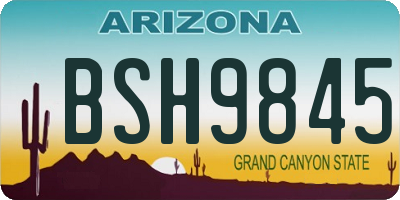 AZ license plate BSH9845