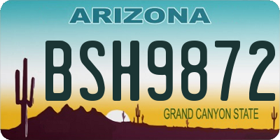AZ license plate BSH9872