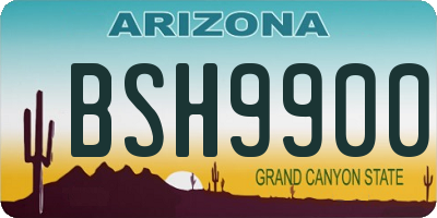 AZ license plate BSH9900