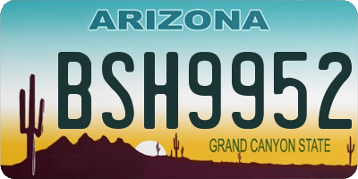 AZ license plate BSH9952