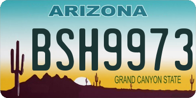 AZ license plate BSH9973