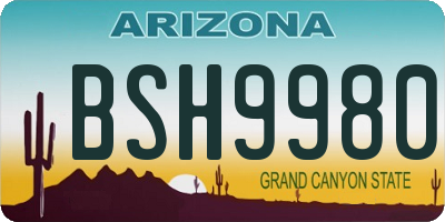 AZ license plate BSH9980