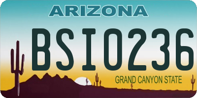 AZ license plate BSI0236