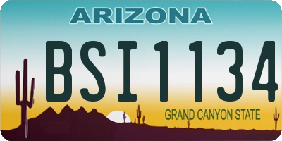 AZ license plate BSI1134