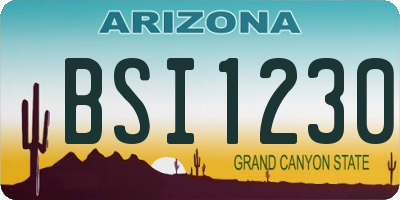 AZ license plate BSI1230