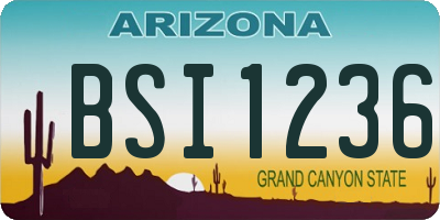 AZ license plate BSI1236
