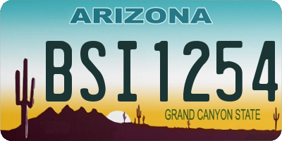 AZ license plate BSI1254