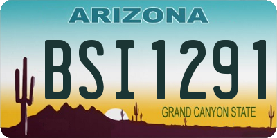 AZ license plate BSI1291