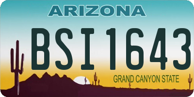AZ license plate BSI1643