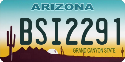 AZ license plate BSI2291
