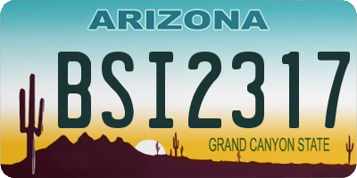 AZ license plate BSI2317