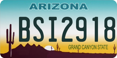 AZ license plate BSI2918