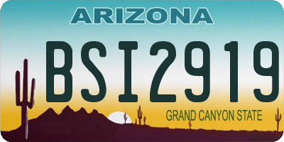 AZ license plate BSI2919