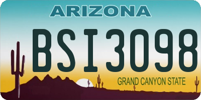 AZ license plate BSI3098