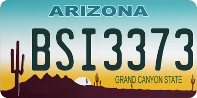 AZ license plate BSI3373