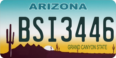 AZ license plate BSI3446