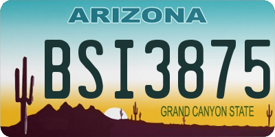 AZ license plate BSI3875