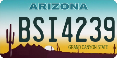 AZ license plate BSI4239