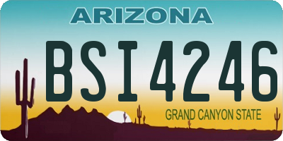 AZ license plate BSI4246
