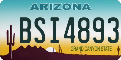 AZ license plate BSI4893