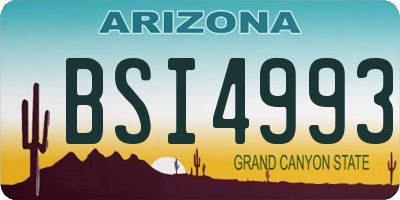 AZ license plate BSI4993