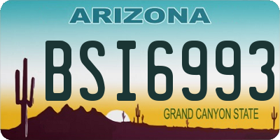 AZ license plate BSI6993