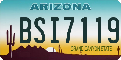 AZ license plate BSI7119