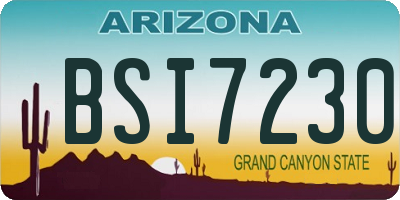 AZ license plate BSI7230