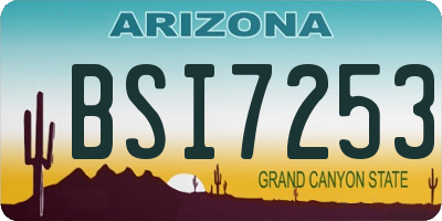 AZ license plate BSI7253