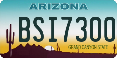 AZ license plate BSI7300