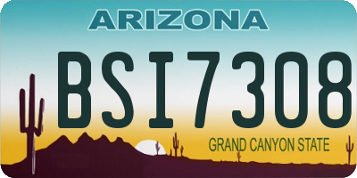 AZ license plate BSI7308