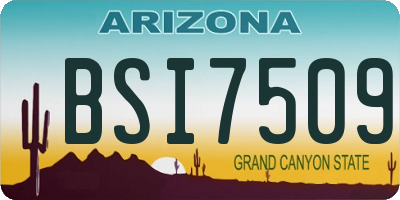 AZ license plate BSI7509