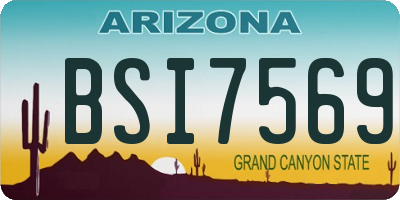 AZ license plate BSI7569