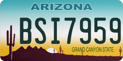 AZ license plate BSI7959