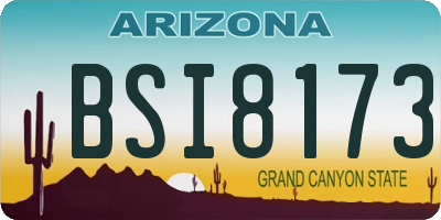 AZ license plate BSI8173