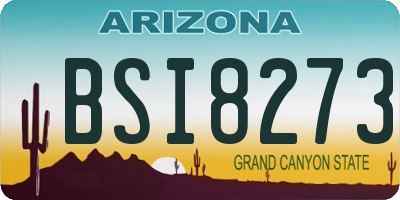 AZ license plate BSI8273